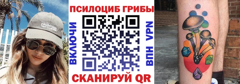 купить закладку  Заволжск  Галлюциногенные грибы Magic Shrooms 